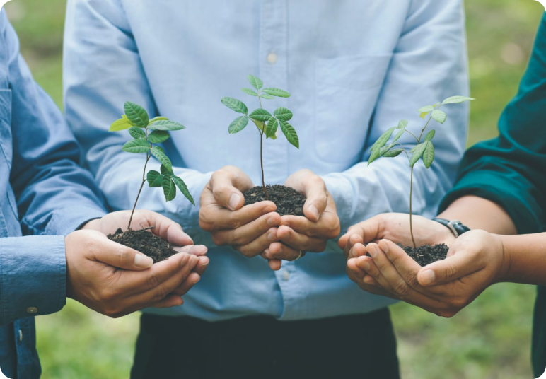 Pessoas segurando plantas