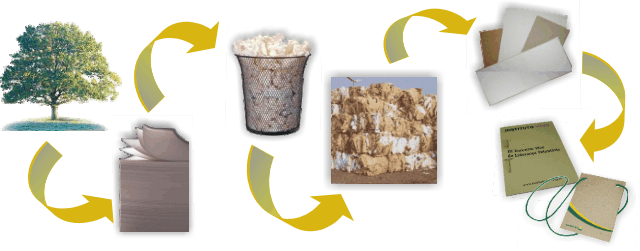 Processo de reciclagem do papel